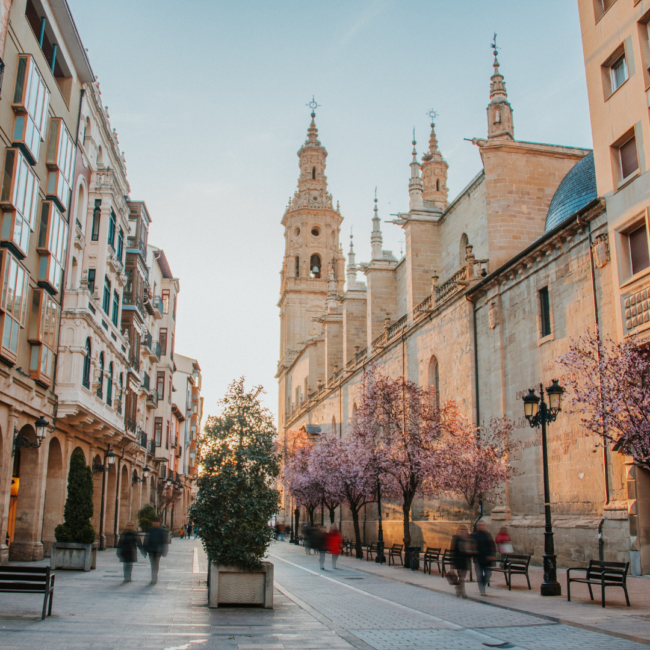 Calle Laurel Logroño