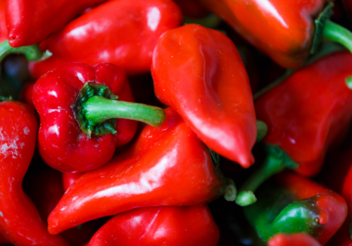 Participa en la exaltación del pimiento del piquillo, degustaciones y mercados locales próximos a Lodosa, un sabor navarro imprescindible.