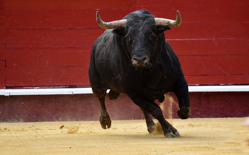 Eventos locales de Lodosa: ferias, fiestas y tradiciones que no debes perderte