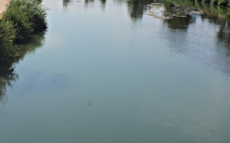 Paseos junto al Canal de Lodosa: naturaleza e ingeniería histórica